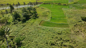 Bohol lot for sale 11,000 sqm near Highway, school and airport Ubay Bohol