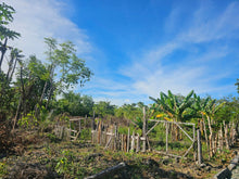 Load image into Gallery viewer, Lot for Sale – Poblacion, Anda, Bohol (Second Lot from the Beach – Ideal for Residential Use)