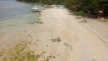Load image into Gallery viewer, White Sand Beach Lot for Sale – Aloguinsan, Cebu