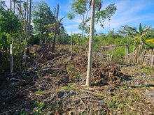 Load image into Gallery viewer, Lot for Sale – Poblacion, Anda, Bohol (Second Lot from the Beach – Ideal for Residential Use)