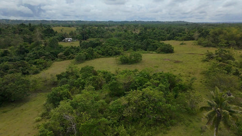 River front lot for sale at San Francisco Ubay Bohol