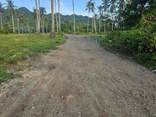 Load image into Gallery viewer, 🌴 Prime Lot for Sale 15,826 sqm – Guindulman, Bohol, Philippines