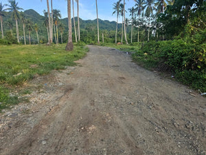 🌴 Prime Lot for Sale 15,826 sqm – Guindulman, Bohol, Philippines