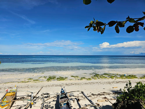 Bohol beach lot for sale 1,700 sqm Anda Bohol Philippines