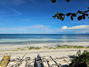 Bohol beach lot for sale 1,700 sqm Anda Bohol Philippines