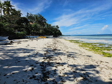 Load image into Gallery viewer, Bohol beach lot for sale 1,700 sqm Anda Bohol Philippines