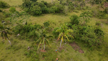 Load image into Gallery viewer, River front lot for sale at San Francisco Ubay Bohol