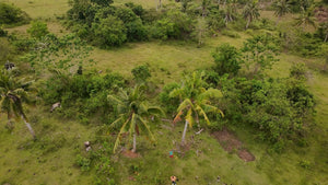 River front lot for sale at San Francisco Ubay Bohol