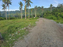 Load image into Gallery viewer, 🌴 Prime Lot for Sale 15,826 sqm – Guindulman, Bohol, Philippines