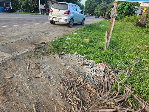 🌴 Prime Lot for Sale 15,826 sqm – Guindulman, Bohol, Philippines