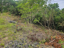 Load image into Gallery viewer, 🌊 Bohol Seaview Lot for Sale – Catagbacan, Loon, Bohol, Philippines 🌊