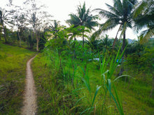 Load image into Gallery viewer, 📍 Lot for Sale – Aloguinsan, Cebu (Second Lot from Provincial Road)