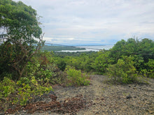 Load image into Gallery viewer, 🌊 Bohol Seaview Lot for Sale – Catagbacan, Loon, Bohol, Philippines 🌊