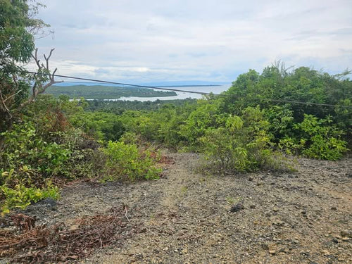 🌊 Bohol Seaview Lot for Sale – Catagbacan, Loon, Bohol, Philippines 🌊