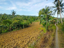 Load image into Gallery viewer, 📍 Lot for Sale – Aloguinsan, Cebu (Second Lot from Provincial Road)