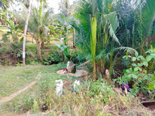 Load image into Gallery viewer, 📍 Lot for Sale – Aloguinsan, Cebu (Second Lot from Provincial Road)