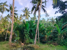 Load image into Gallery viewer, 📍 Lot for Sale – Aloguinsan, Cebu (Second Lot from Provincial Road)