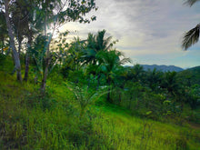 Load image into Gallery viewer, 📍 Lot for Sale – Aloguinsan, Cebu (Second Lot from Provincial Road)