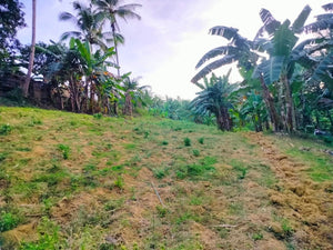 📍 Lot for Sale – Aloguinsan, Cebu (Second Lot from Provincial Road)