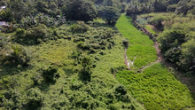 Load image into Gallery viewer, 🌾 Lot for Sale in Remedios, Danao, Bohol – 10,000 sqm | ₱1,700,000 (Slightly Negotiable)