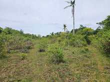Load image into Gallery viewer, 🌴 Lot for Sale Near Panglao Island Airport – 2,960 sqm | Ideal for Residential or Resort Development