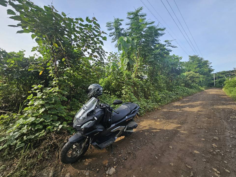🌾 Lot for Sale in Remedios, Danao, Bohol – 10,000 sqm | ₱1,700,000 (Slightly Negotiable)