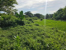 Load image into Gallery viewer, 🌾 Lot for Sale in Remedios, Danao, Bohol – 10,000 sqm | ₱1,700,000 (Slightly Negotiable)