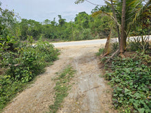 Load image into Gallery viewer, 🌴 Lot for Sale Near Panglao Island Airport – 2,960 sqm | Ideal for Residential or Resort Development