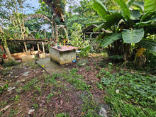 Load image into Gallery viewer, 🌾 Lot for Sale in Remedios, Danao, Bohol – 8,000 sqm | ₱1,700,000 (Slightly Negotiable)
