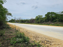 Load image into Gallery viewer, 🌴 Lot for Sale Near Panglao Island Airport – 2,960 sqm | Ideal for Residential or Resort Development