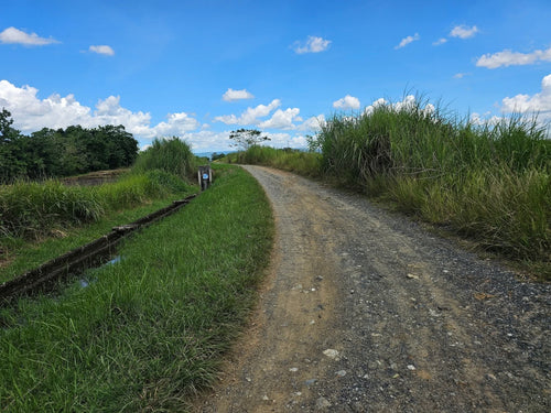 Lot for Sale in San Miguel, Bohol – Near Town Proper & Key Amenities