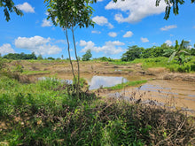 Load image into Gallery viewer, Lot for Sale in San Miguel, Bohol – Near Town Proper &amp; Key Amenities