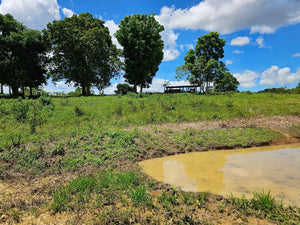 Lot for Sale in San Miguel, Bohol – Near Town Proper &amp; Key Amenities