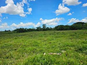 Lot for Sale in San Miguel, Bohol – Near Town Proper &amp; Key Amenities