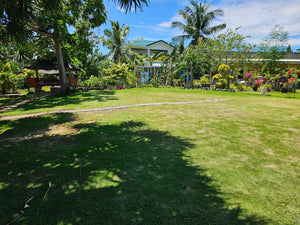 Bohol beach resort with swimming pool  for sale in Anda Bohol