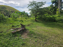 Load image into Gallery viewer, Bohol lot for sale with boarding house and pension house at Sagbayan Bohol Philippines