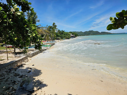 Bohol beach resort with swimming pool  for sale in Anda Bohol