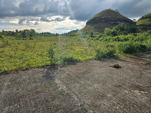 Bohol lot for sale with buildings in San Ramon, Sagbayan, Bohol