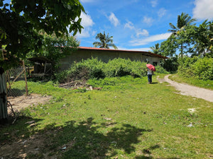 Bohol beach lot for sale in Anda Bohol Philippines