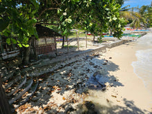 Load image into Gallery viewer, Bohol beach lot for sale in Anda Bohol Philippines