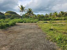 Load image into Gallery viewer, Bohol lot for sale with buildings in San Ramon, Sagbayan, Bohol