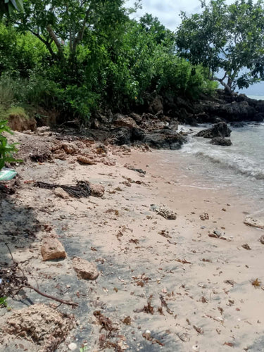 Beach lot for sale in. Tabuelan Cebu Philippines
