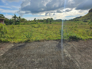 Bohol lot for sale with buildings in San Ramon, Sagbayan, Bohol
