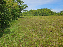 Load image into Gallery viewer, Bohol lot for sale in Balilihan Bohol Philippines near Tagbilaran City expandable up to 5 hectares
