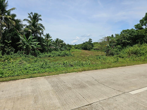 Bohol lot for sale in Balilihan Bohol Philippines near Tagbilaran City expandable up to 5 hectares