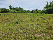 Load image into Gallery viewer, Bohol lot for sale in Balilihan Bohol Philippines near Tagbilaran City expandable up to 5 hectares