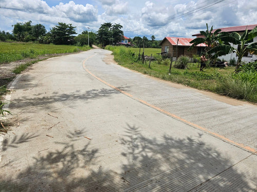 Bohol lot for sale with irrigated ricefield and upland in Ubay Bohol