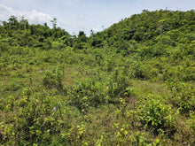 Load image into Gallery viewer, Bohol lot for sale in Balilihan Bohol Philippines near Tagbilaran City expandable up to 5 hectares