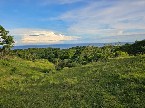 Bohol overlooking lot for sale with 360 degrees views (mountain and sea)