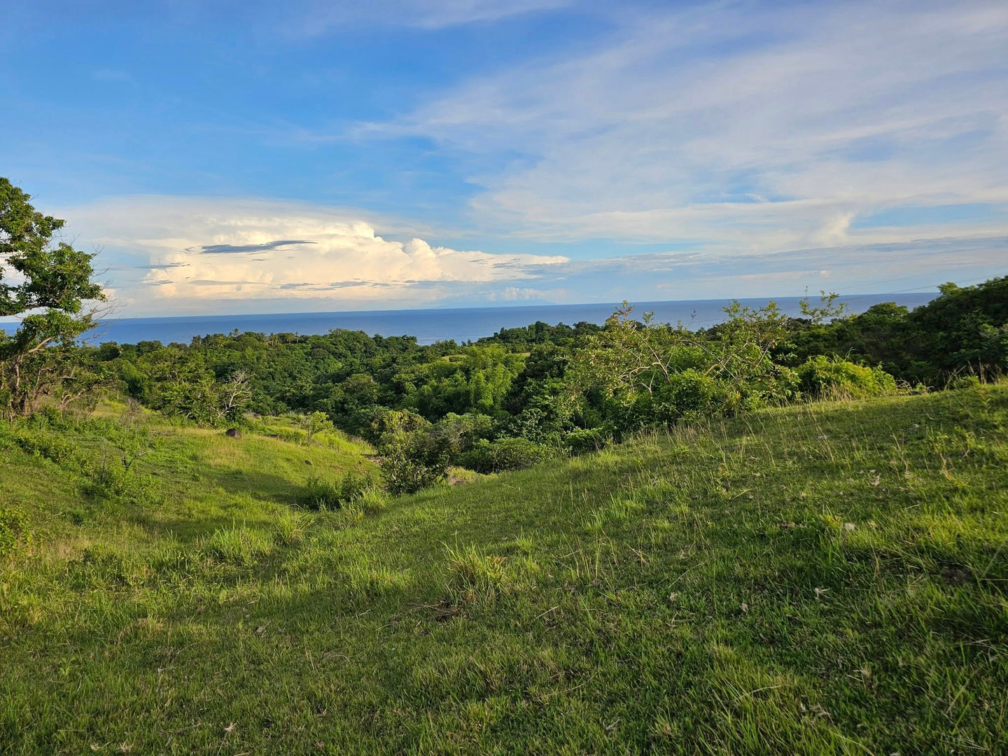 Bohol overlooking lot for sale with 360 degrees views (mountain and sea)